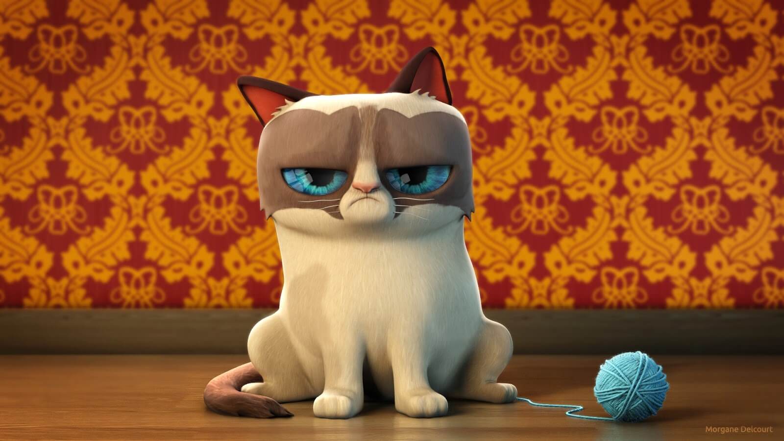 Pisica Morocănoasă - Grumpy Cat - Blog Blog Animale - Nutritie 