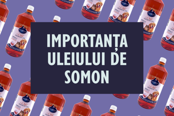 Beneficiile uleiului de somon