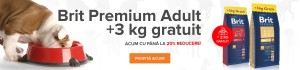 Brit-Premium-Adult4542