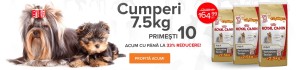 Cumperi75-primesti-102772