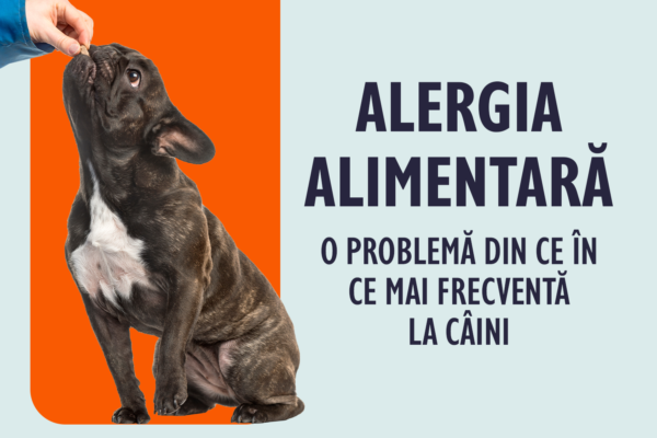 Alergii Alimentare