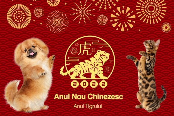 Horoscopul Chinezesc 2022 – Ce bunatati ii asteapta pe blanosi in anul Tigrului!