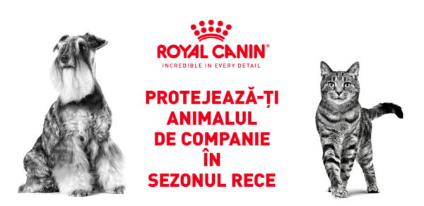 Royal Canin Protejeaza-ti animalul de companie in sezonul rece