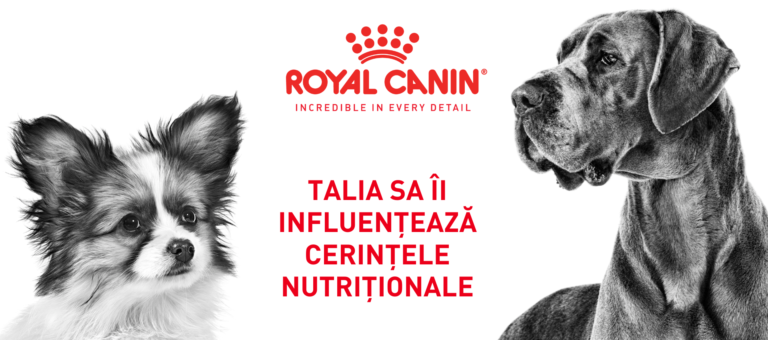 Articol Royal Canin despre talie