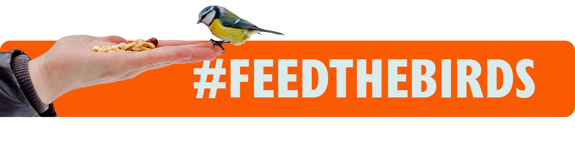#FeedTheBirds