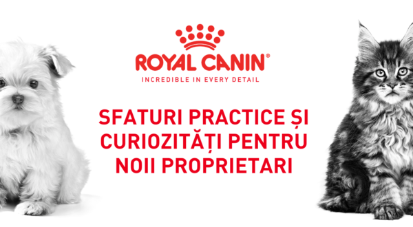 Royal Canin Sfaturi Practice