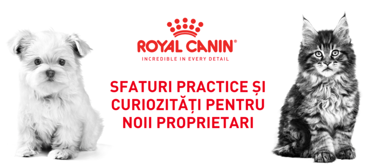 Royal Canin Sfaturi Practice