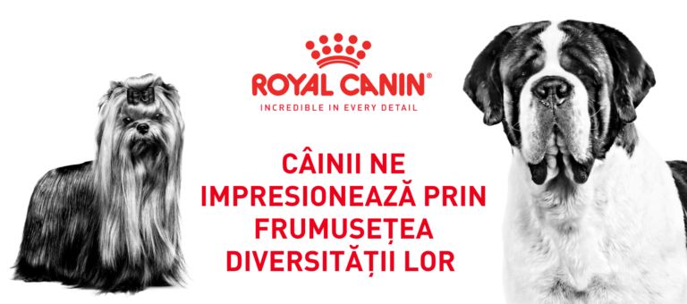 Cainii ne impresioneaza prin frumusețea diversității lor