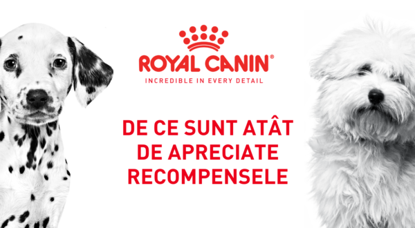 De ce sunt atât de apreciate recompensele