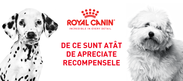 De ce sunt atât de apreciate recompensele