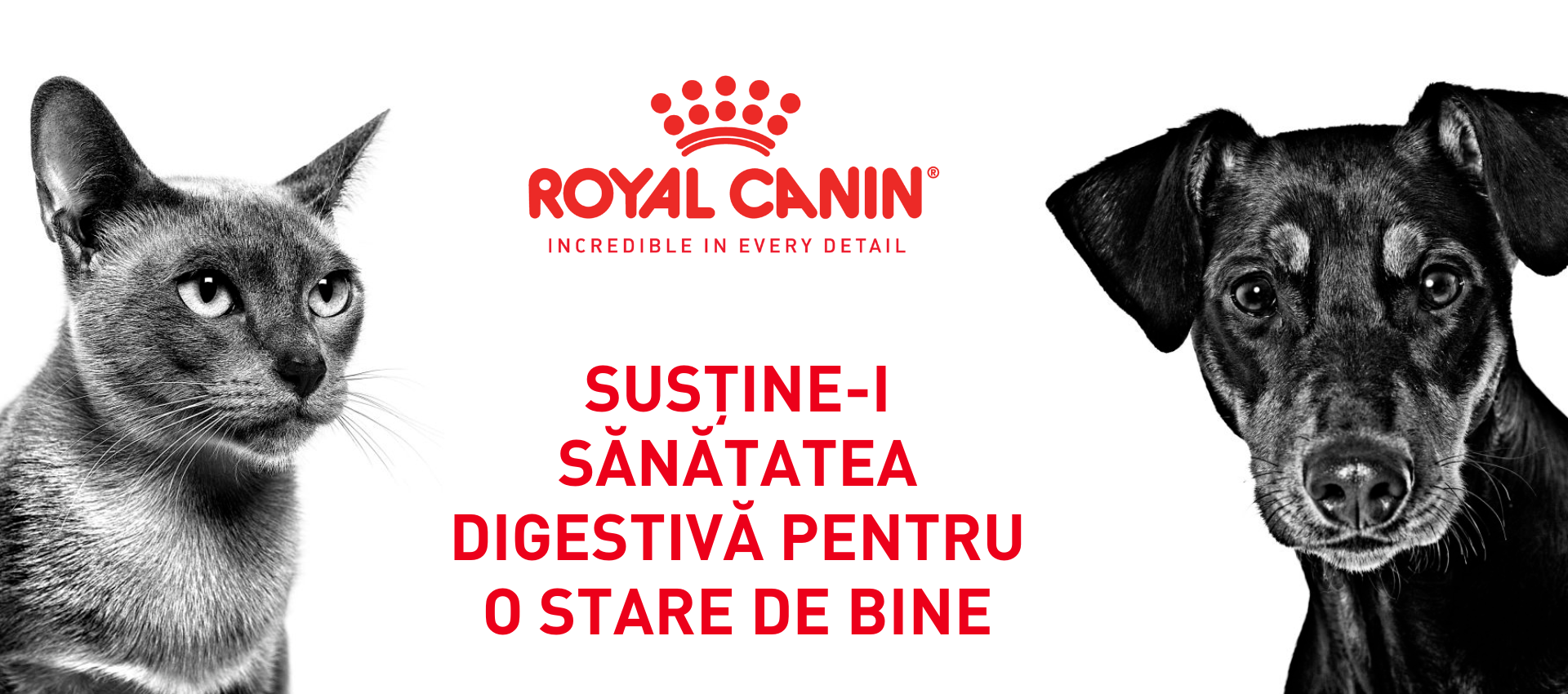 Susține-i sănătatea digestivă pentru o stare de bine