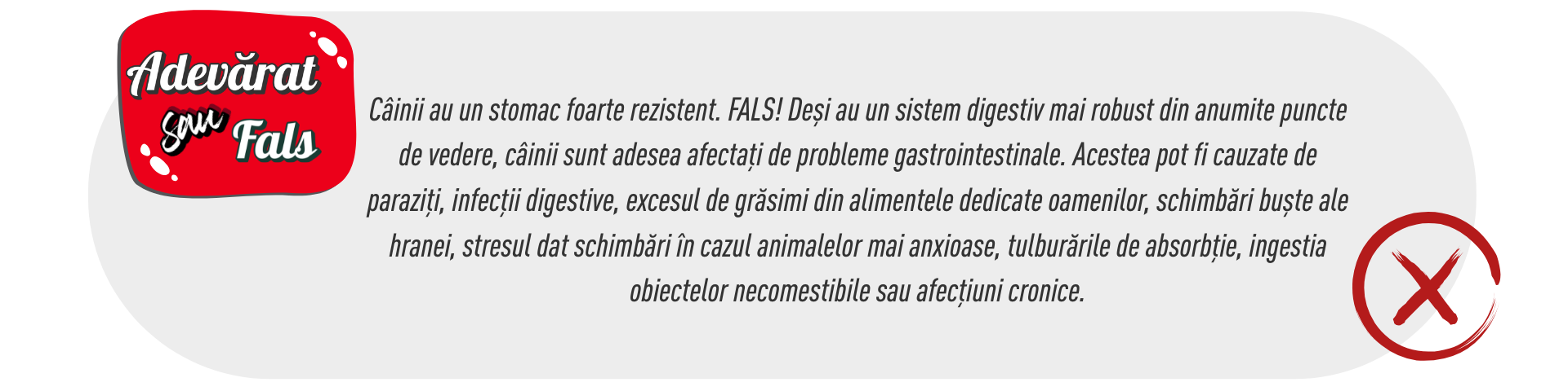 Susține-i sănătatea digestivă pentru o stare de bine
