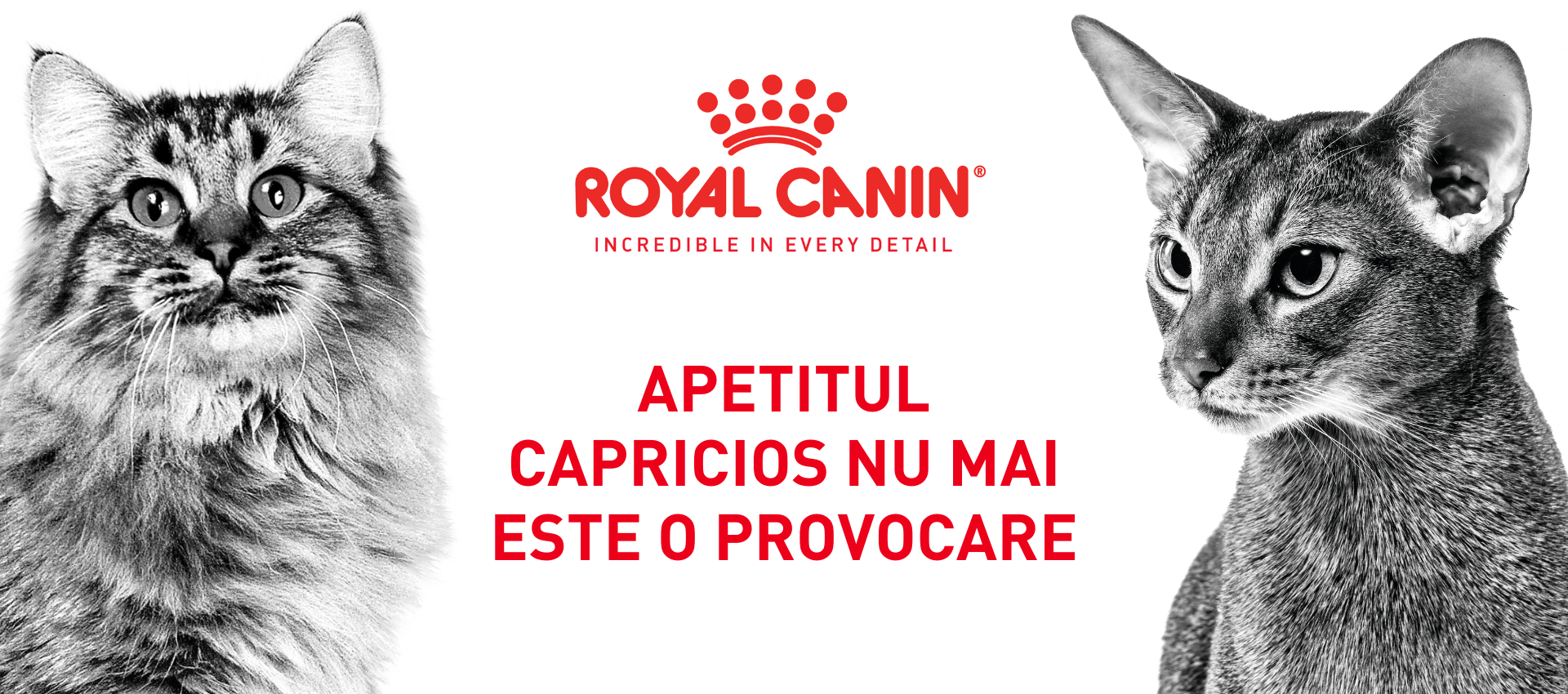 Apetitul capricios nu mai este o provocare