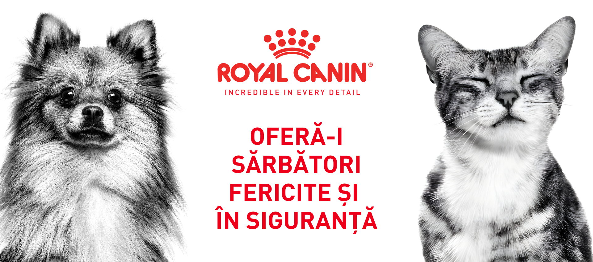 Oferă-i sărbători fericite și în siguranță