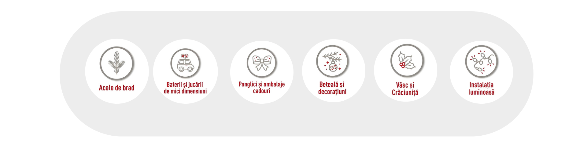 Oferă-i sărbători fericite și în siguranță