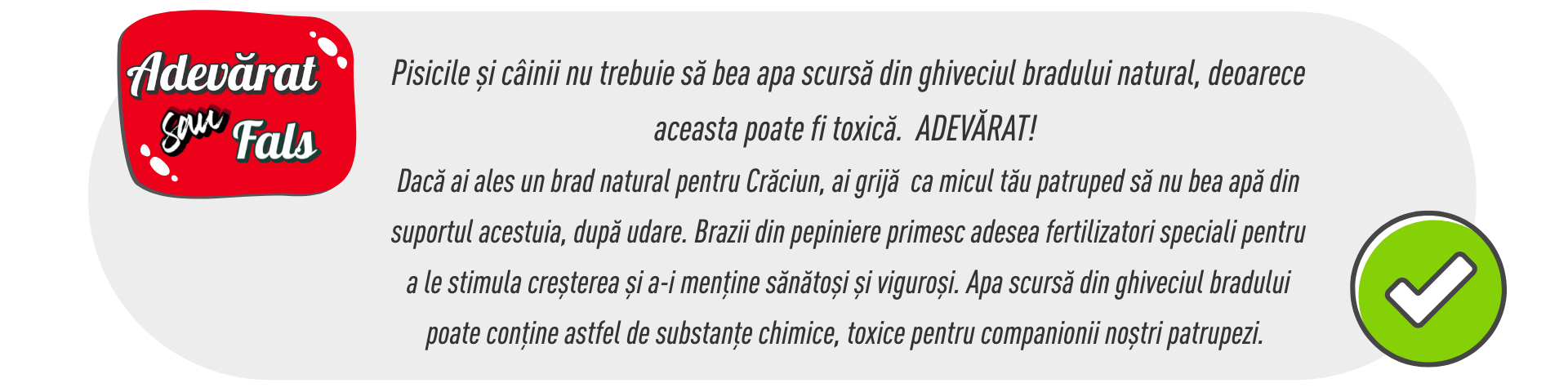 Oferă-i sărbători fericite și în siguranță