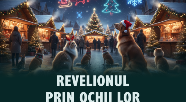 Revelionul prin ochii lor: cum ne ajutăm câinii și pisicile să rămână calmi când lumea face… BUM