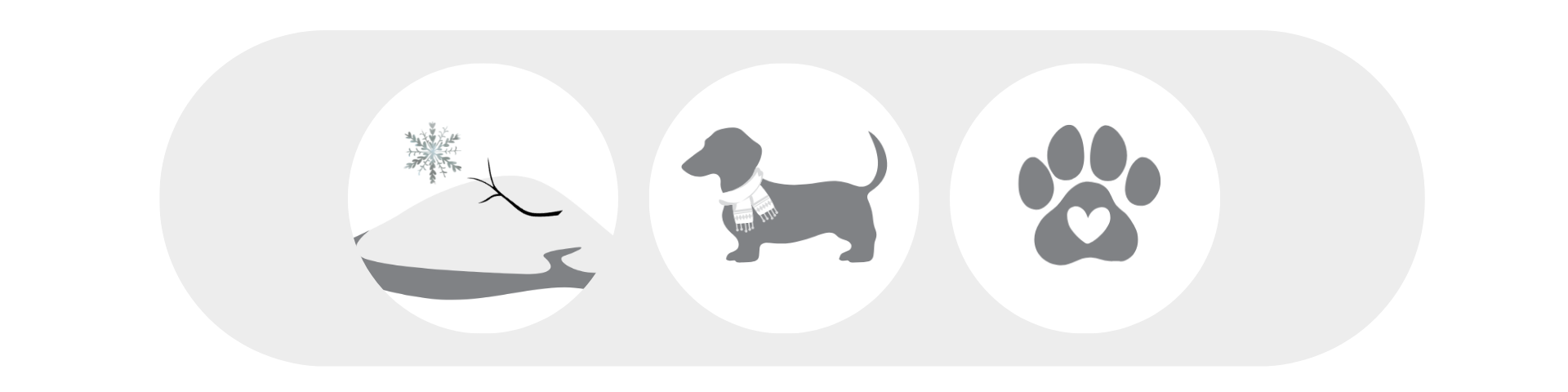 Iarna poate fi plăcută chiar și pentru câinele tău de talie mică