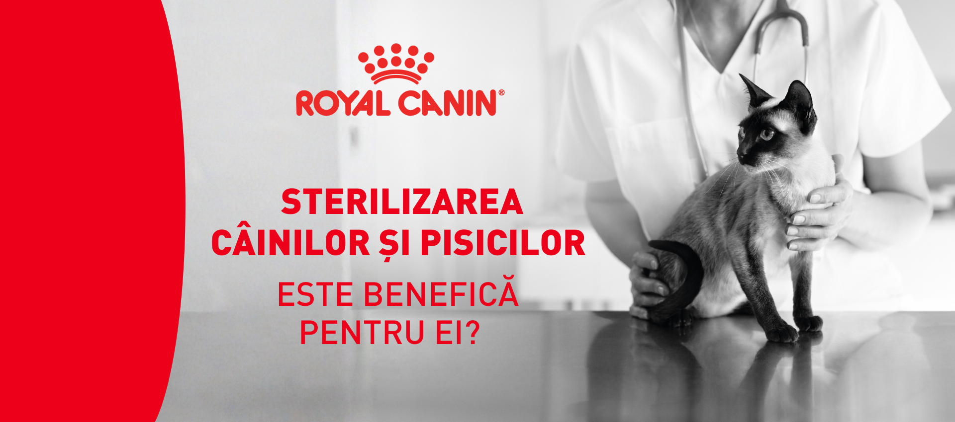 2026_02_RC_Sterilizarea câinilor și pisicilor este benefică pentru ei_HEADER