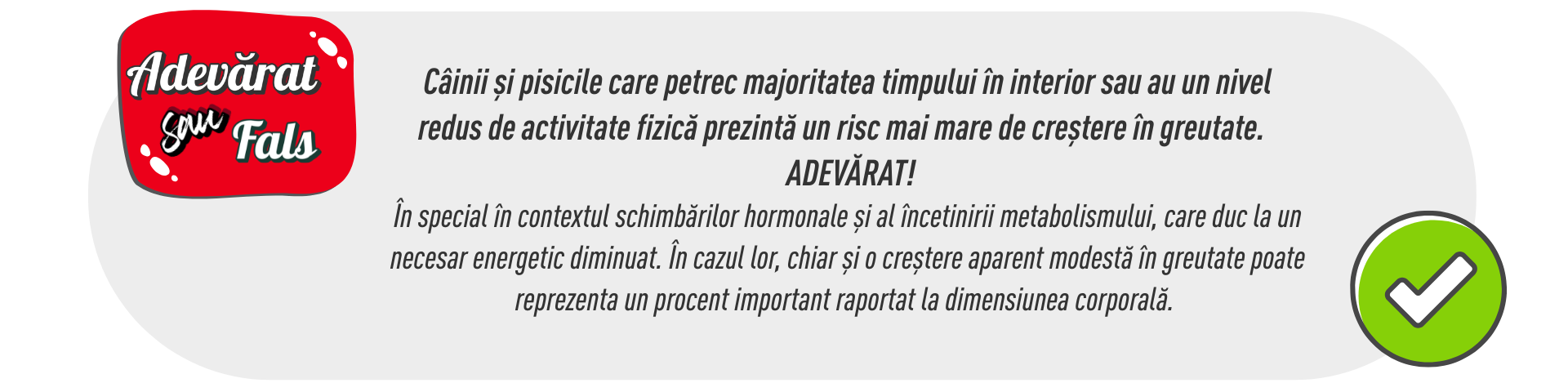 2026_02_RC_Sterilizarea câinilor și pisicilor este benefică pentru ei_pic_4