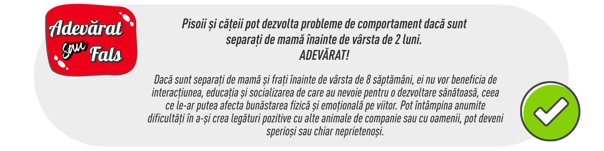 Descoperă frumusețea etapei de creștere