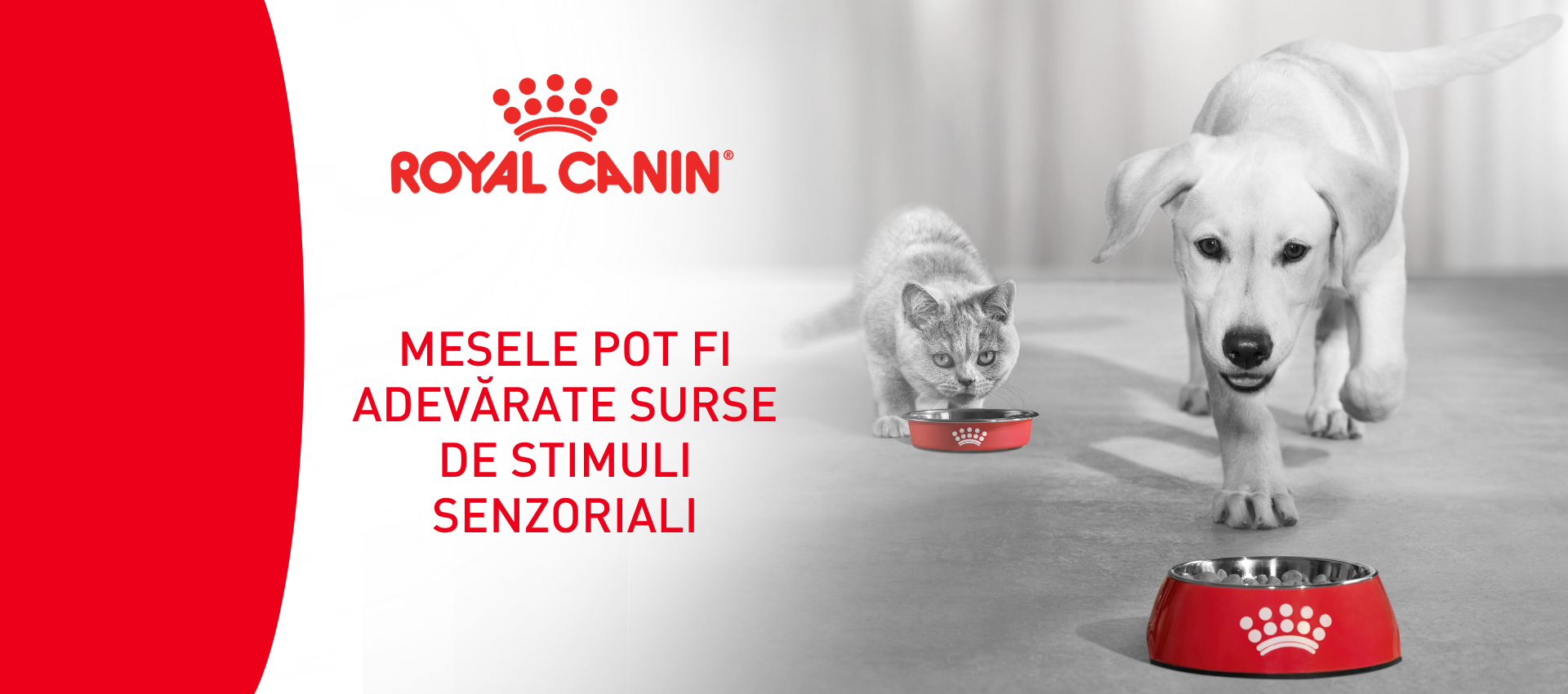 Mesele pot fi adevarate surse de stimuli senzoriali_Header