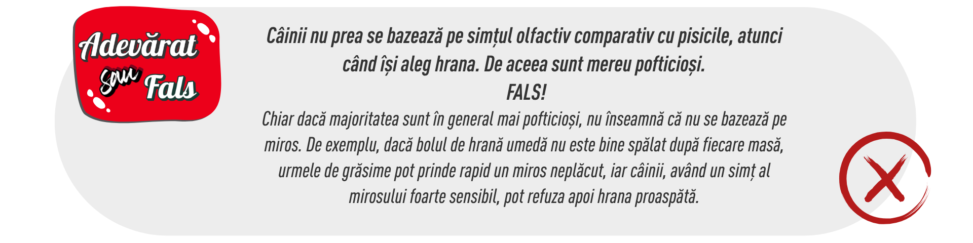 Mesele pot fi adevarate surse de stimuli senzoriali_pic5