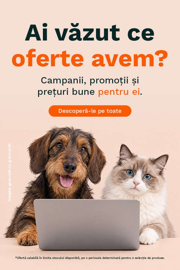 Ai văzut ce oferte avem?