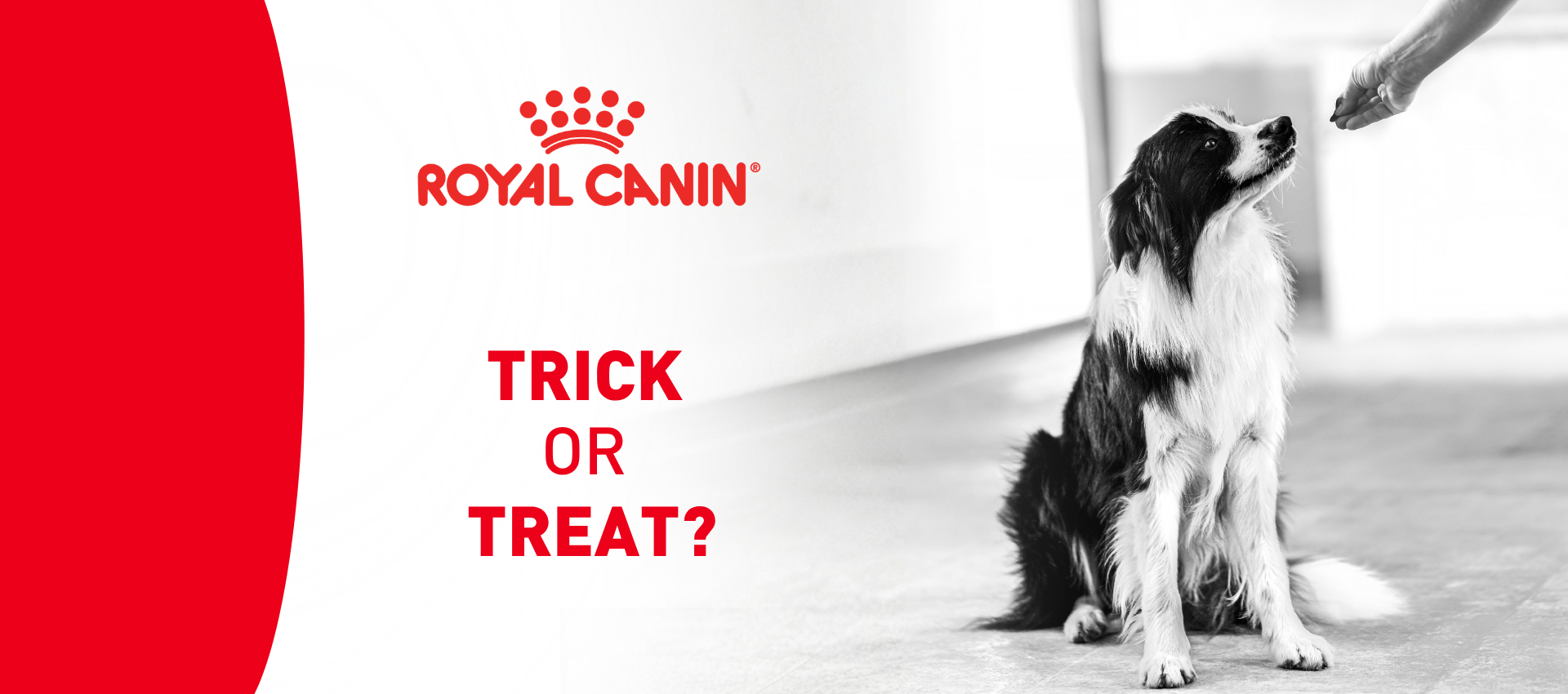 HEADER_2026_10_RC_Blog_rick or Treat